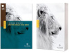 NLT - Courage for Life Study Bible for Men